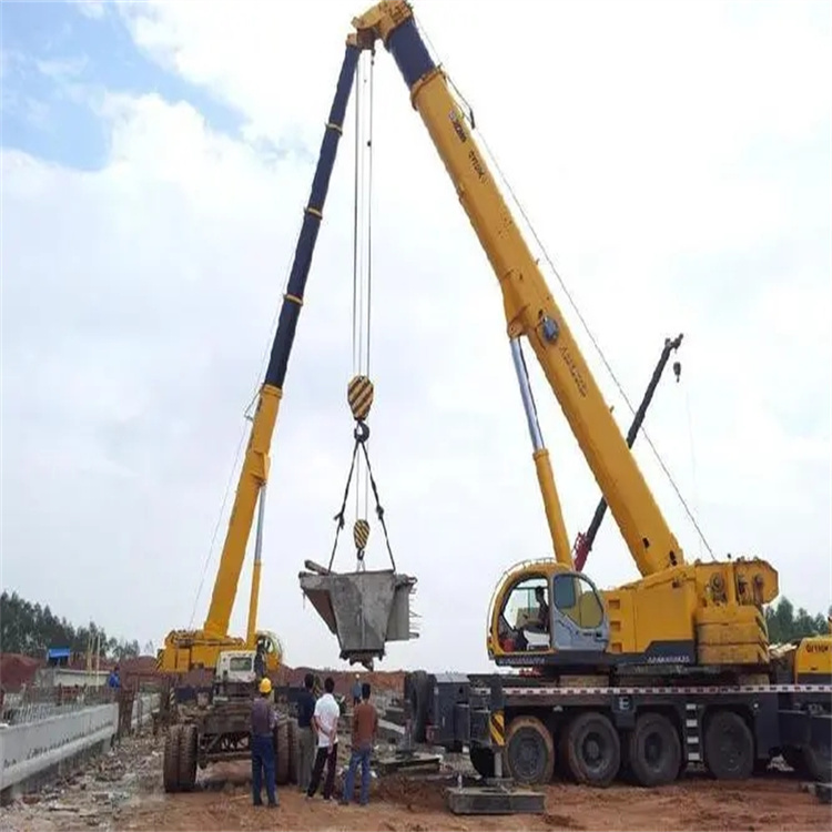 麻章小型吊机出租电话|厂房设备吊装方案|24小时服务覆盖