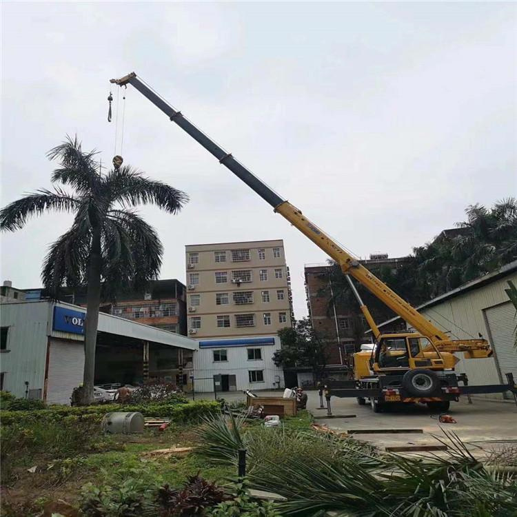 麻章树木移栽装卸